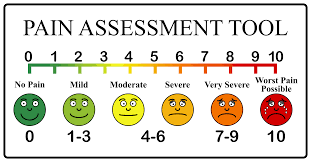 Pain Assessment Tool
