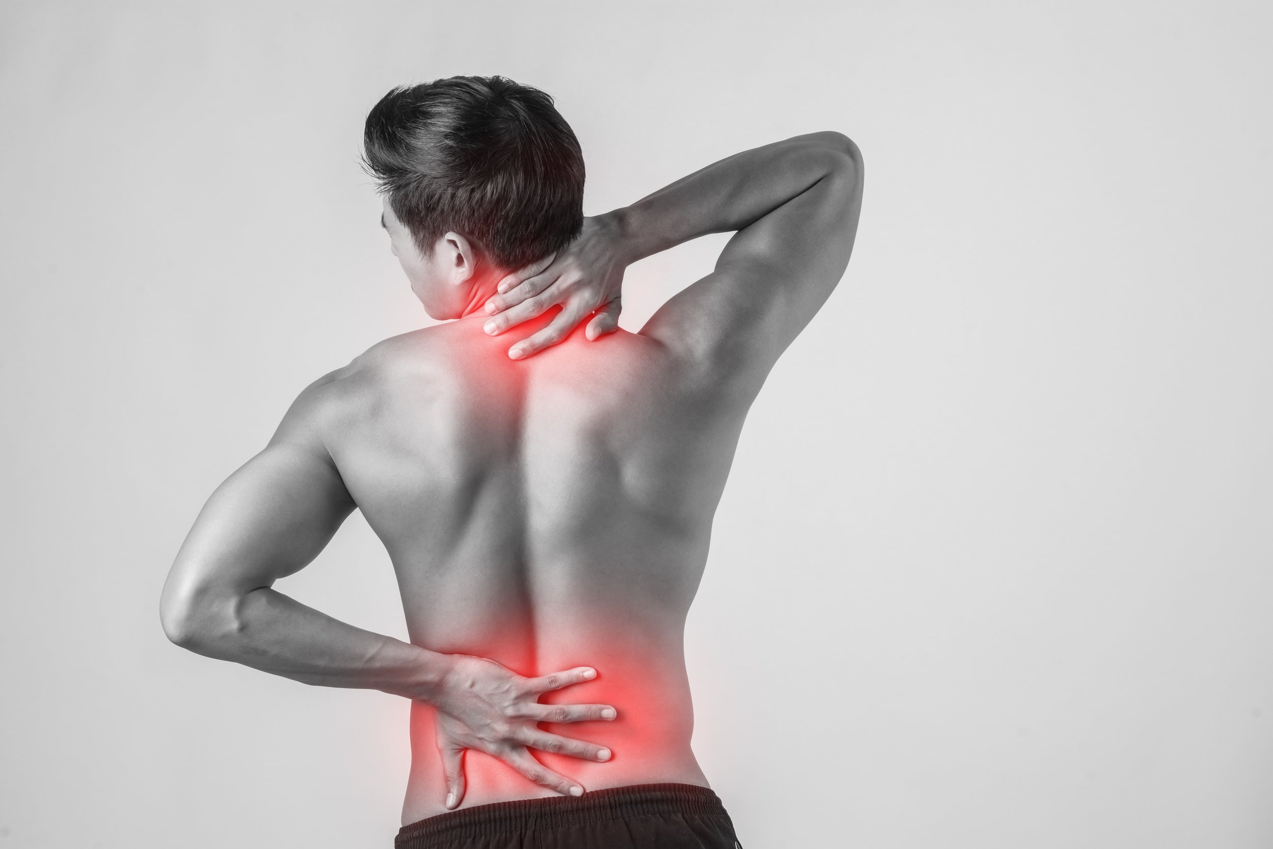 Back Pain
