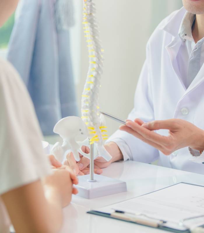 Spinal Cord